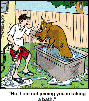 Marmaduke on Tuesday September 22, 2015 Comic Strip