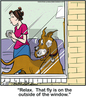 Marmaduke on Wednesday June 10, 2020 Comic Strip