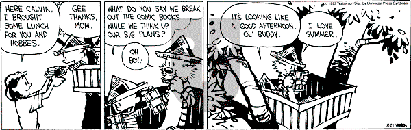 Calvin and Hobbes - Saturday August 21, 1993 Comic Strip