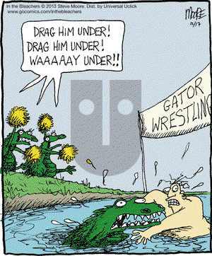 In the Bleachers on Tuesday December 17, 2013 Comic Strip