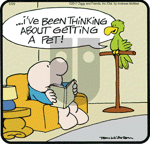 Ziggy on Wednesday March 29, 2017 Comic Strip