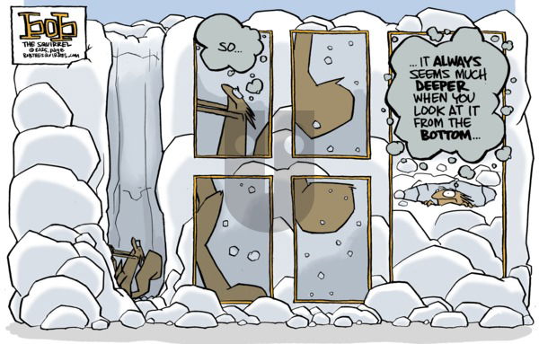 Bob the Squirrel - Sunday January 12, 2025 Comic Strip