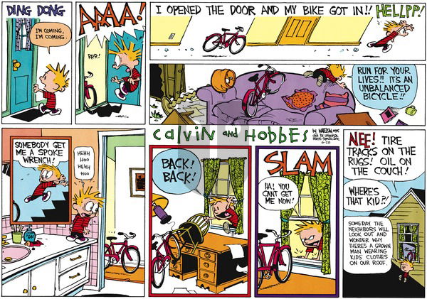 Calvin and Hobbes on Sunday June 28, 2015 Comic Strip
