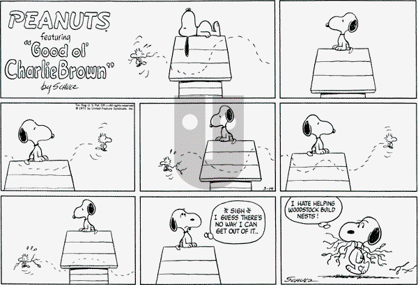 Peanuts - Sunday March 14, 1971 Comic Strip