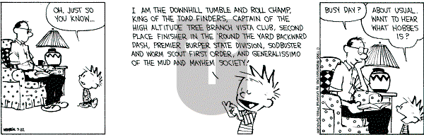 Calvin and Hobbes - Saturday July 22, 1995 Comic Strip