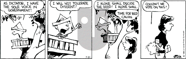 Calvin and Hobbes - Wednesday July 31, 1991 Comic Strip