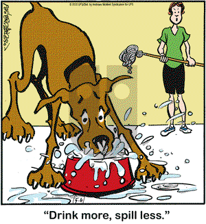 Marmaduke on Wednesday May 6, 2020 Comic Strip