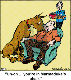 Marmaduke on Tuesday November 11, 2014 Comic Strip