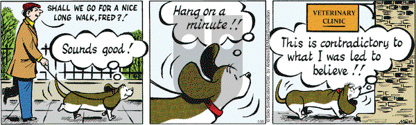 Fred Basset - Monday January 30, 2023 Comic Strip