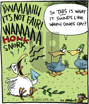 Reality Check on Tuesday May 4, 2010 Comic Strip