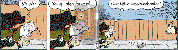 Fred Basset on Tuesday January 18, 2011 Comic Strip