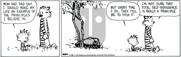 Calvin and Hobbes on Monday June 28, 1993 Comic Strip