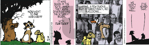 Over the Hedge on Wednesday August 20, 2008 Comic Strip