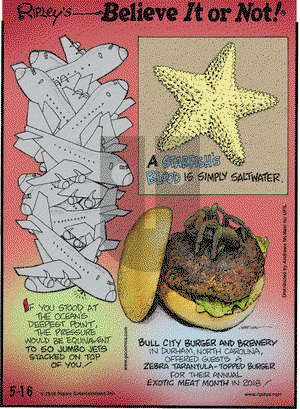 Ripley's Believe It or Not on Wednesday May 16, 2018 Comic Strip