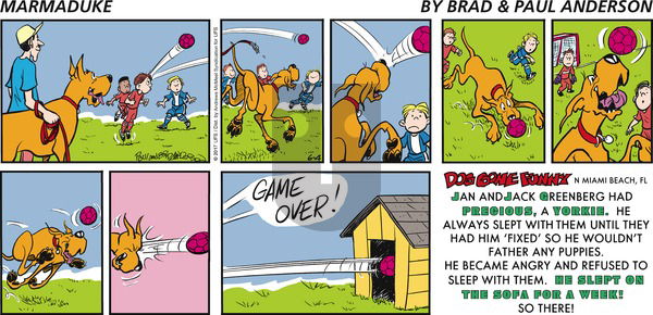 Marmaduke on Sunday June 4, 2017 Comic Strip