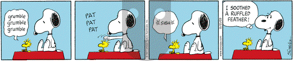 Peanuts on Friday November 21, 2003 Comic Strip