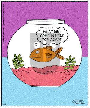 Half Full on Wednesday March 19, 2014 Comic Strip