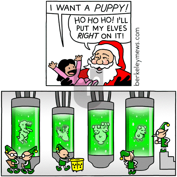 Berkeley Mews on Monday December 28, 2015 Comic Strip