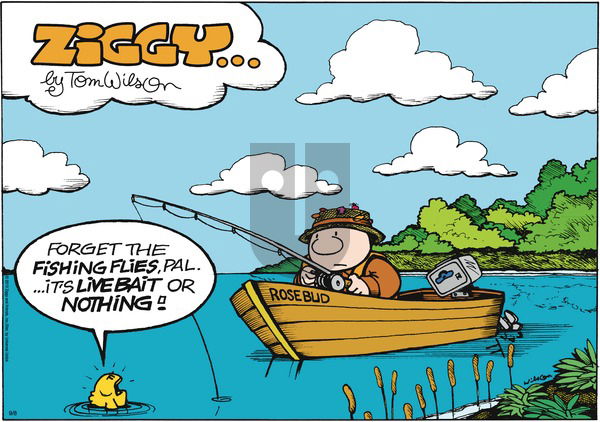 Ziggy on Sunday September 8, 2013 Comic Strip