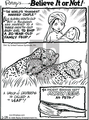 Ripley's Believe It or Not on Thursday January 15, 1998 Comic Strip