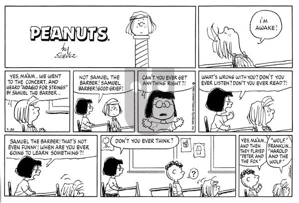 Peanuts on Sunday July 30, 1995 Comic Strip