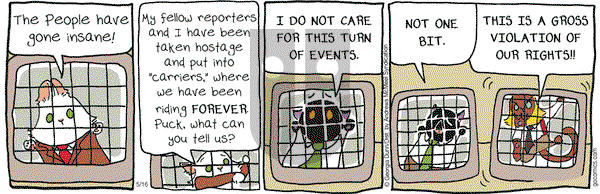 Breaking Cat News on Tuesday May 16, 2017 Comic Strip