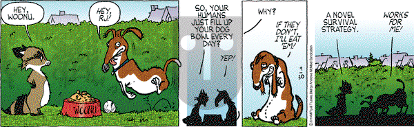 Over the Hedge on Monday September 30, 2019 Comic Strip