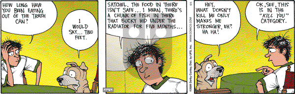 Get Fuzzy on Thursday June 5, 2008 Comic Strip