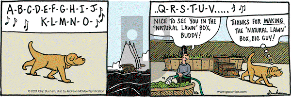 Overboard on Wednesday August 4, 2021 Comic Strip