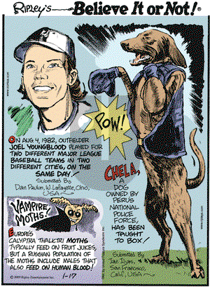 Ripley's Believe It or Not on Saturday January 17, 2009 Comic Strip