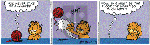 Garfield on Wednesday January 28, 2004 Comic Strip