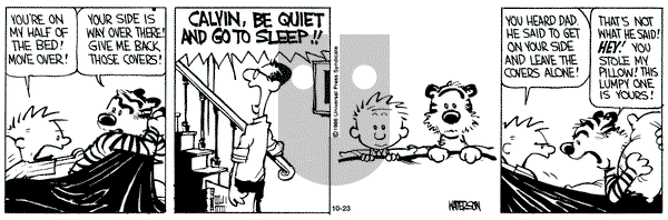 Calvin and Hobbes on Wednesday October 23, 1991 Comic Strip