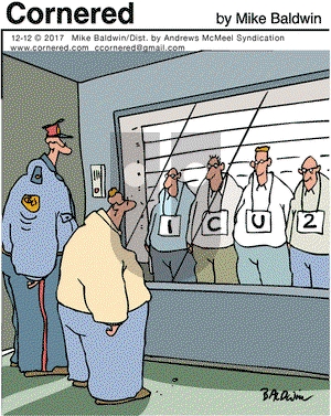 Cornered on Tuesday December 12, 2017 Comic Strip