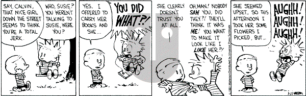 Calvin and Hobbes - Wednesday March 27, 1991 Comic Strip