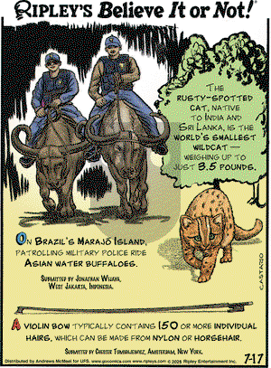 Ripley's Believe It or Not on 2025-07-17 Comic Strip