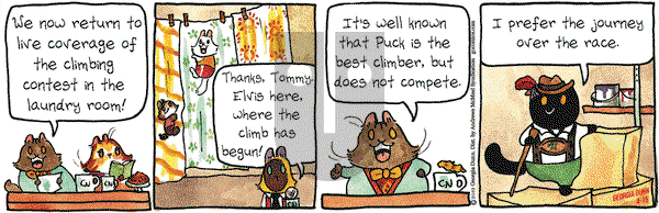 Breaking Cat News on Monday April 15, 2019 Comic Strip