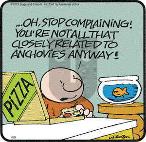 Ziggy on Friday August 9, 2013 Comic Strip