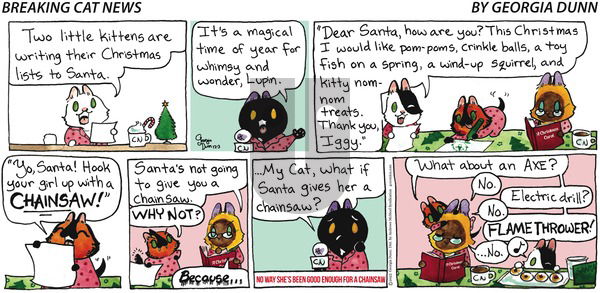 Breaking Cat News - Sunday December 3, 2023 Comic Strip