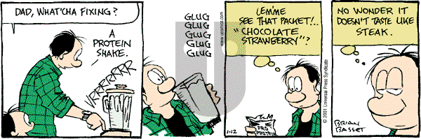Adam@Home on Friday January 12, 2001 Comic Strip
