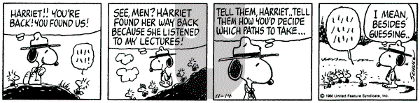 Peanuts on Friday November 14, 1980 Comic Strip