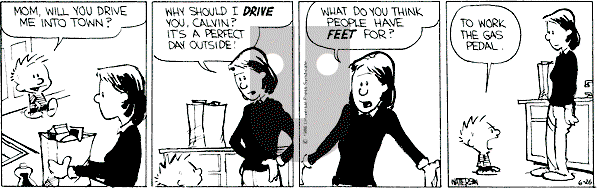 Calvin and Hobbes - Wednesday June 26, 1991 Comic Strip