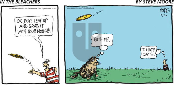 In the Bleachers on Sunday April 26, 2015 Comic Strip