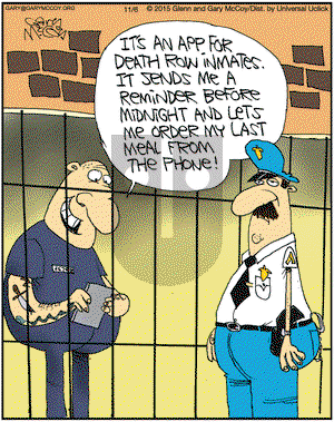 The Flying McCoys on Friday November 6, 2015 Comic Strip