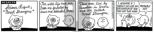Peanuts on Friday September 29, 1972 Comic Strip