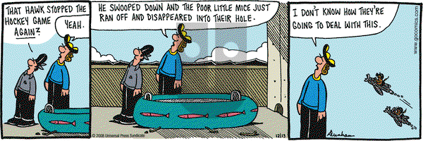 Overboard on Saturday December 13, 2008 Comic Strip