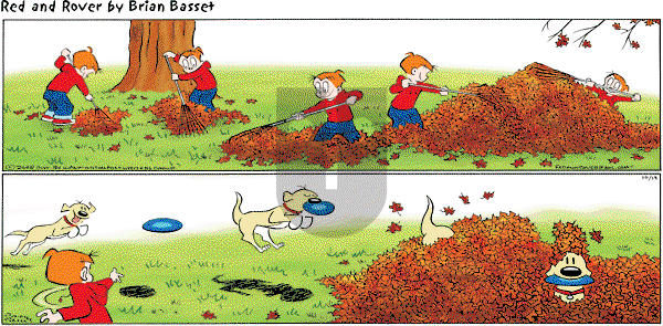 Red and Rover on Sunday October 19, 2008 Comic Strip