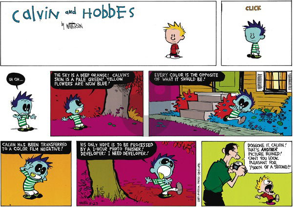 Calvin and Hobbes on Sunday July 2, 1989 Comic Strip