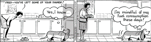 Fred Basset on Thursday August 21, 2008 Comic Strip