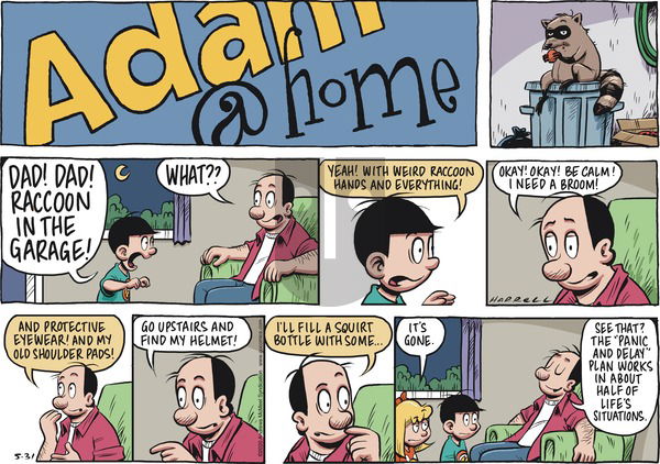 Adam@Home on Sunday May 31, 2020 Comic Strip