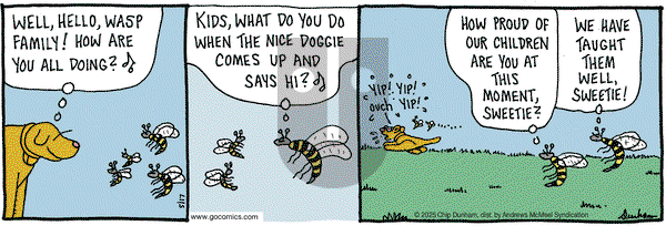 Overboard on Saturday May 17, 2025 Comic Strip